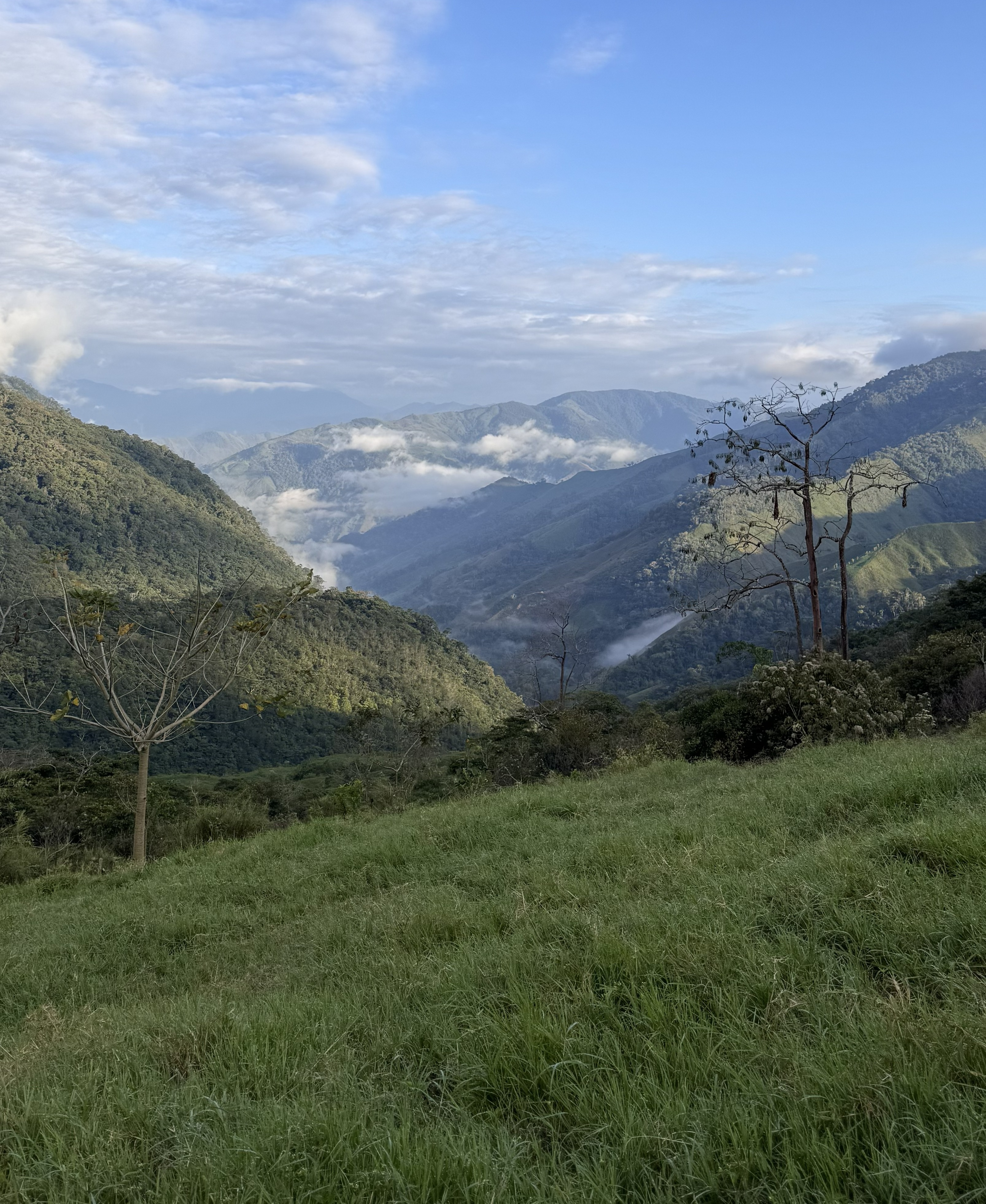 Praderas vista complementaria