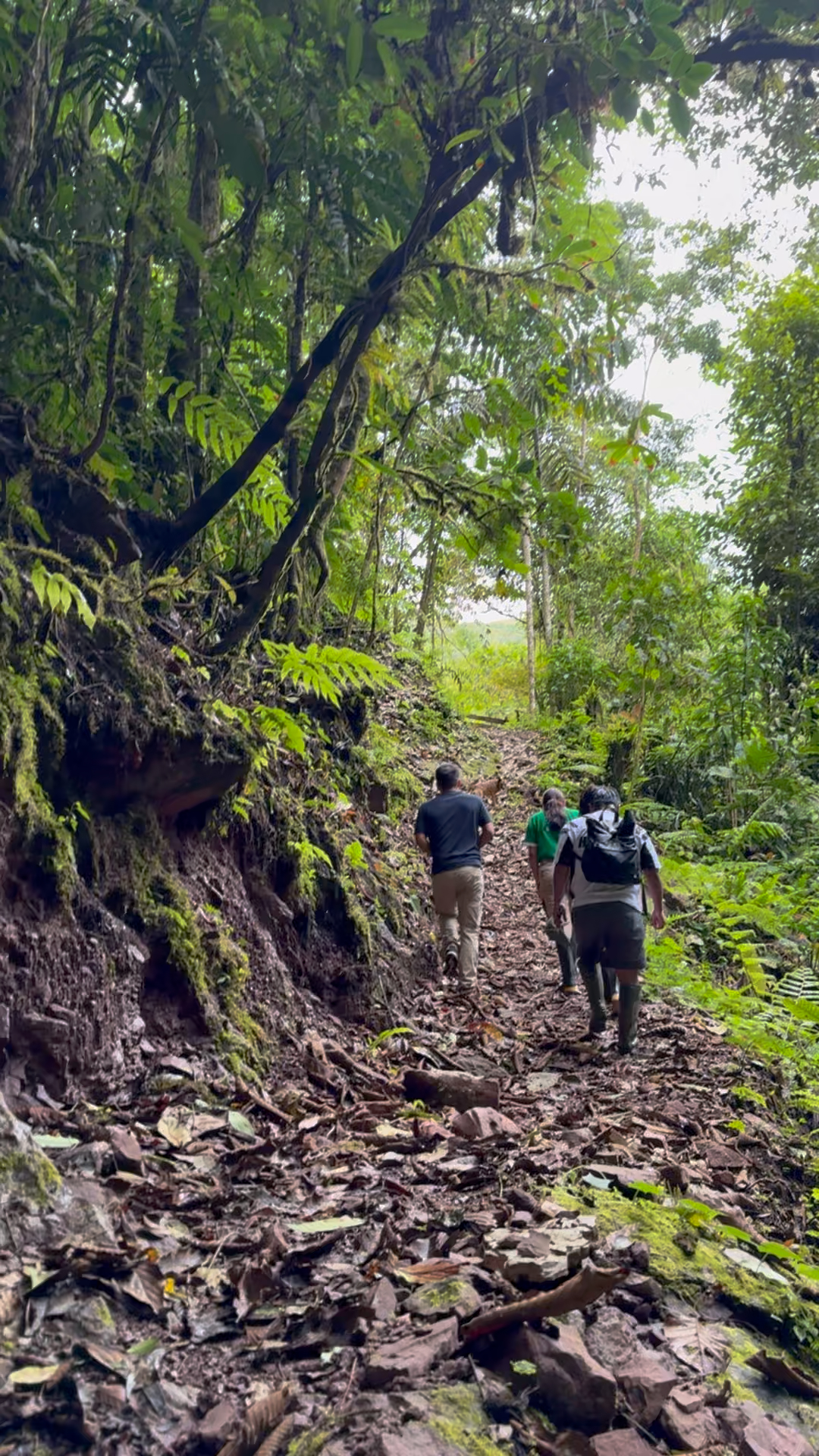 Senderismo en la Reserva Natural